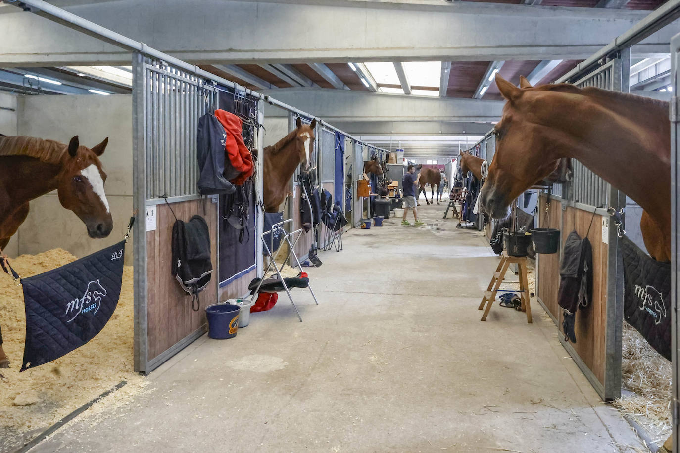 Fotos: Las Mestas, listas para acoger el Hípico