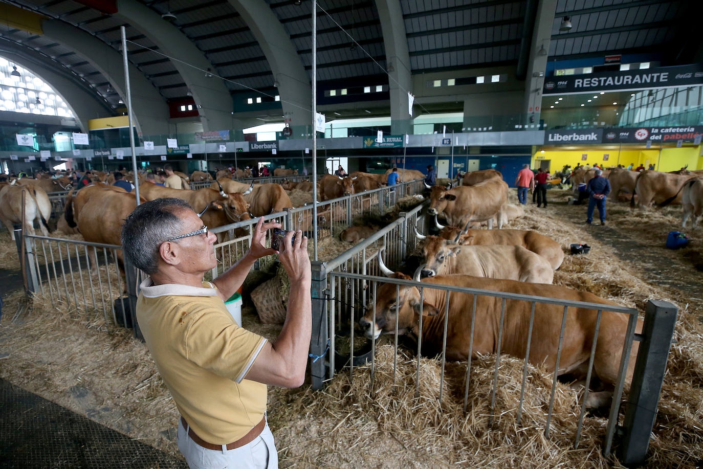 Fotos: Mercado de ganado en Avilés