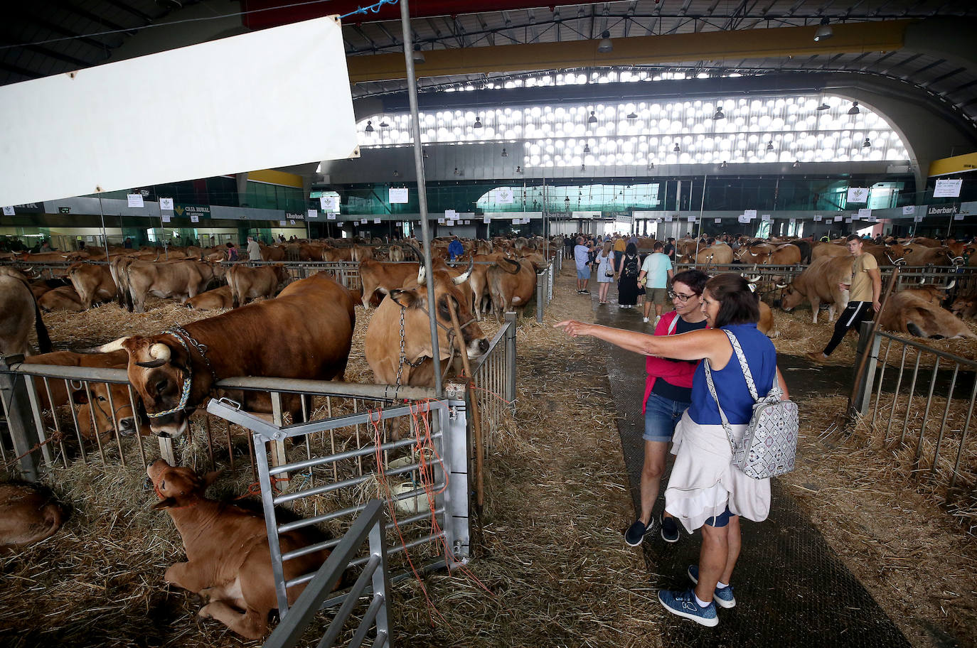 Fotos: Mercado de ganado en Avilés