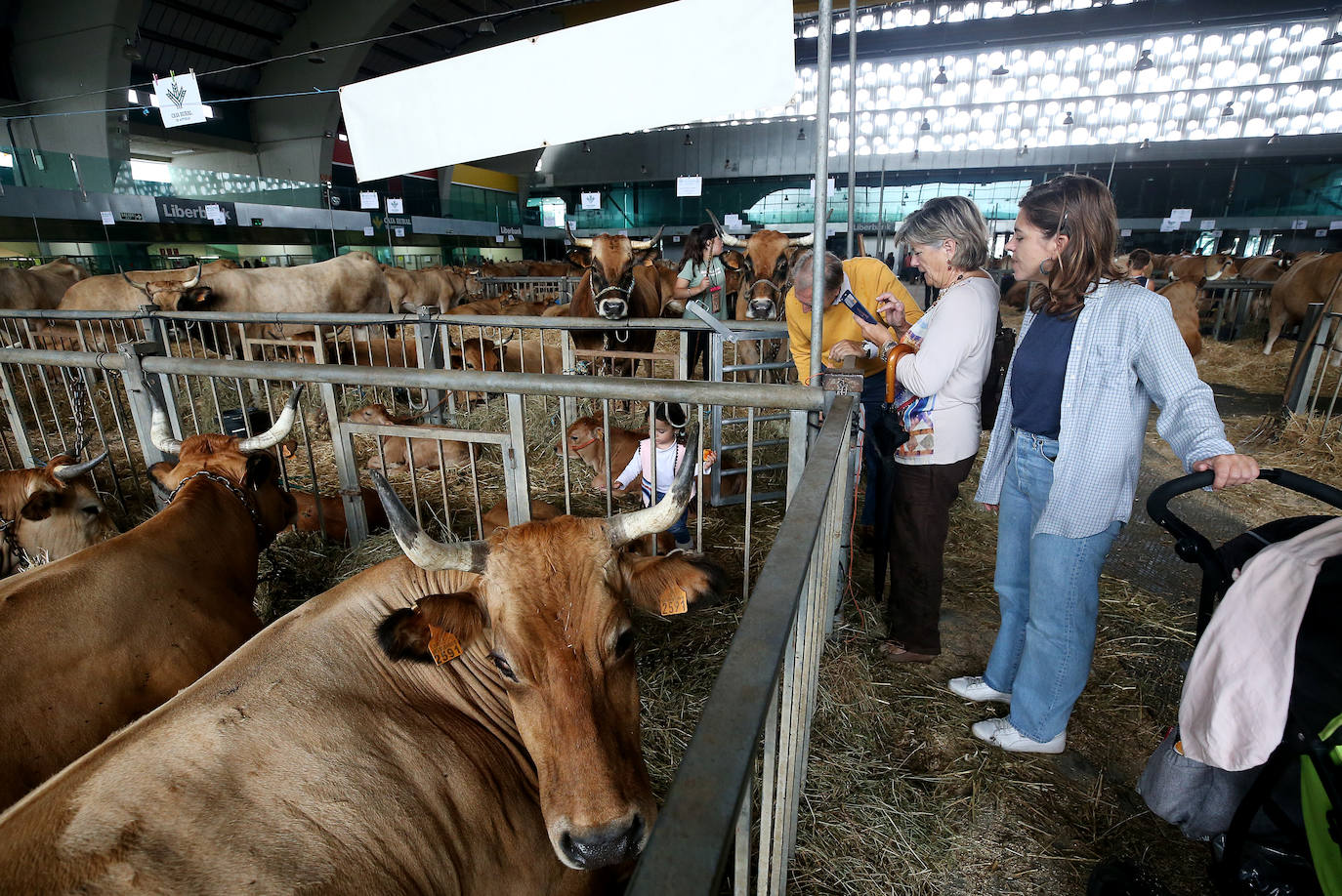 Fotos: Mercado de ganado en Avilés