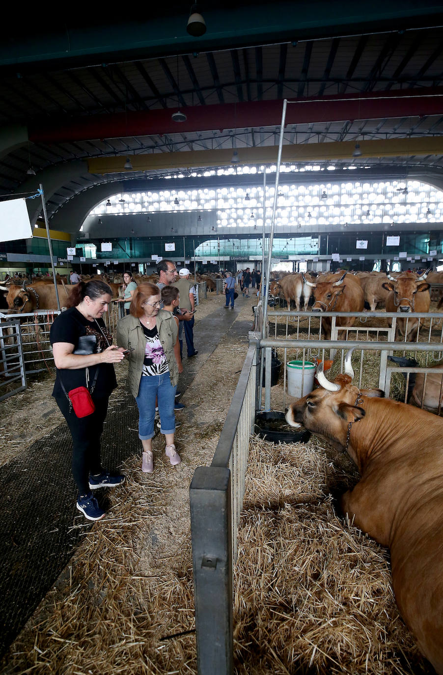 Fotos: Mercado de ganado en Avilés