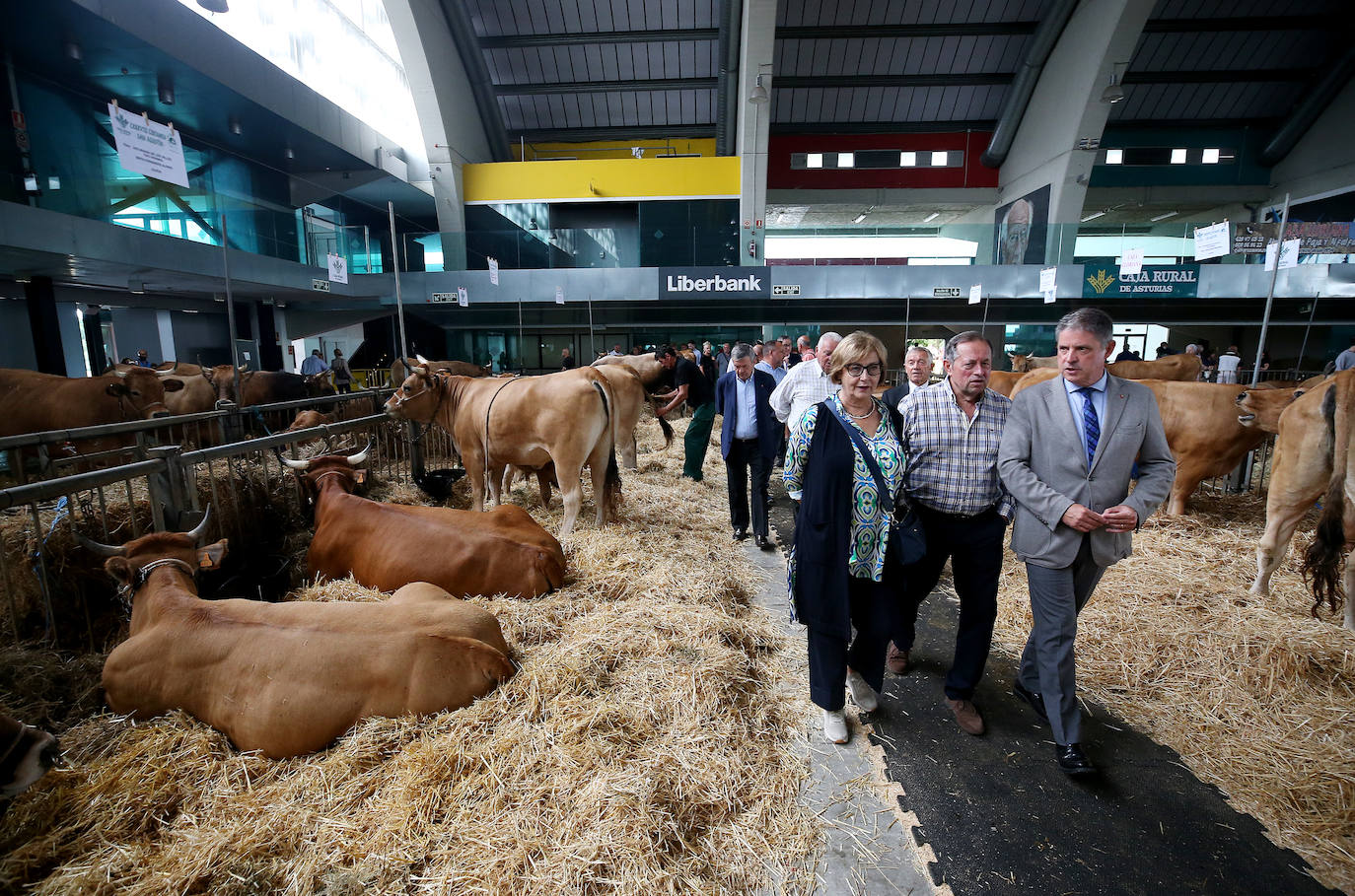 Fotos: Mercado de ganado en Avilés