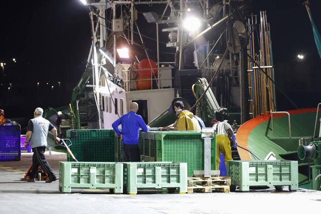 Fotos: 115.000 kilos de bonito en el Musel