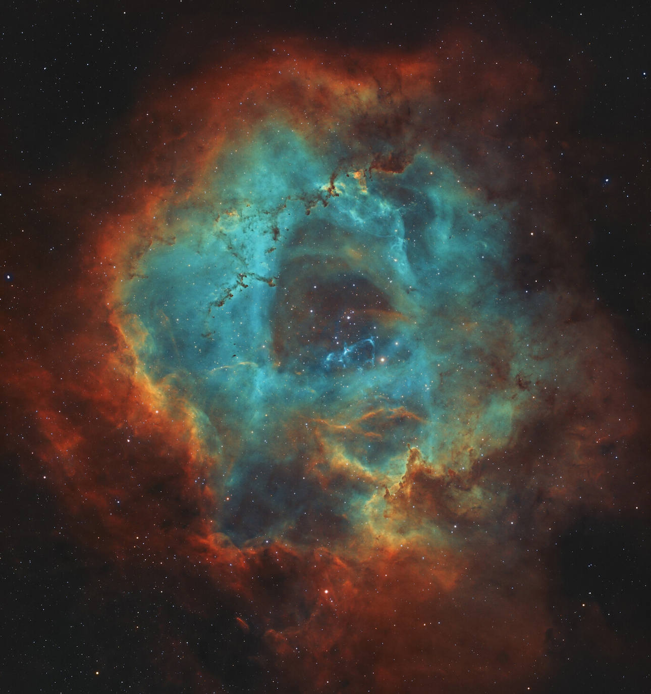 Joven fotógrafo astrónomo del año