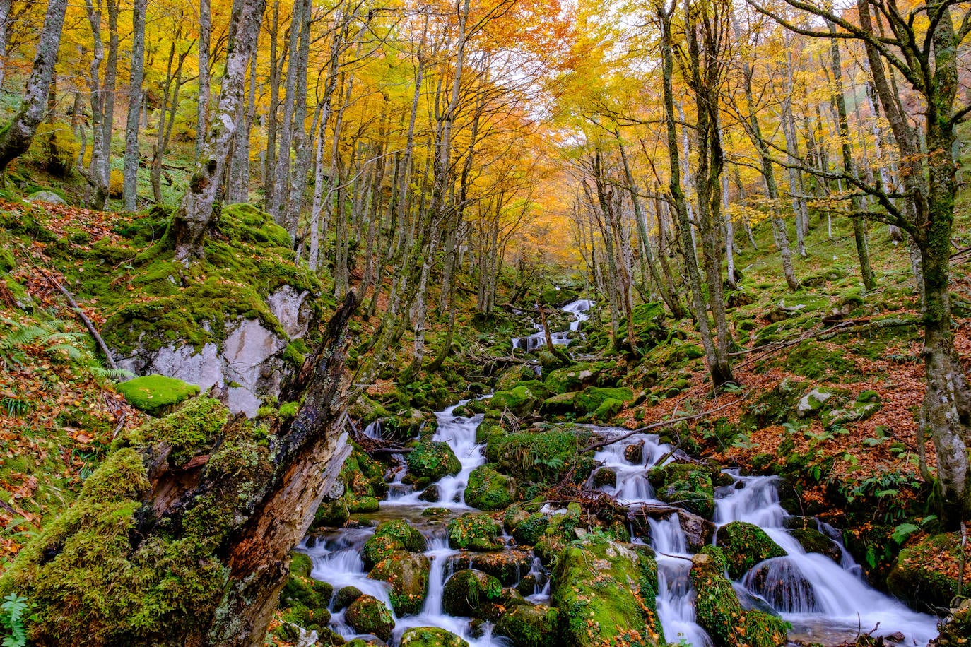Fotos: Paisajes únicos que podrás ver en Asturias este otoño
