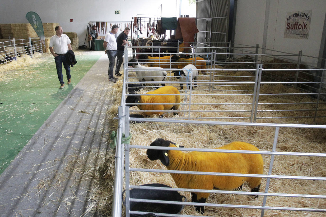 Fotos: El mundo rural asturiano: un paseo por Agropec