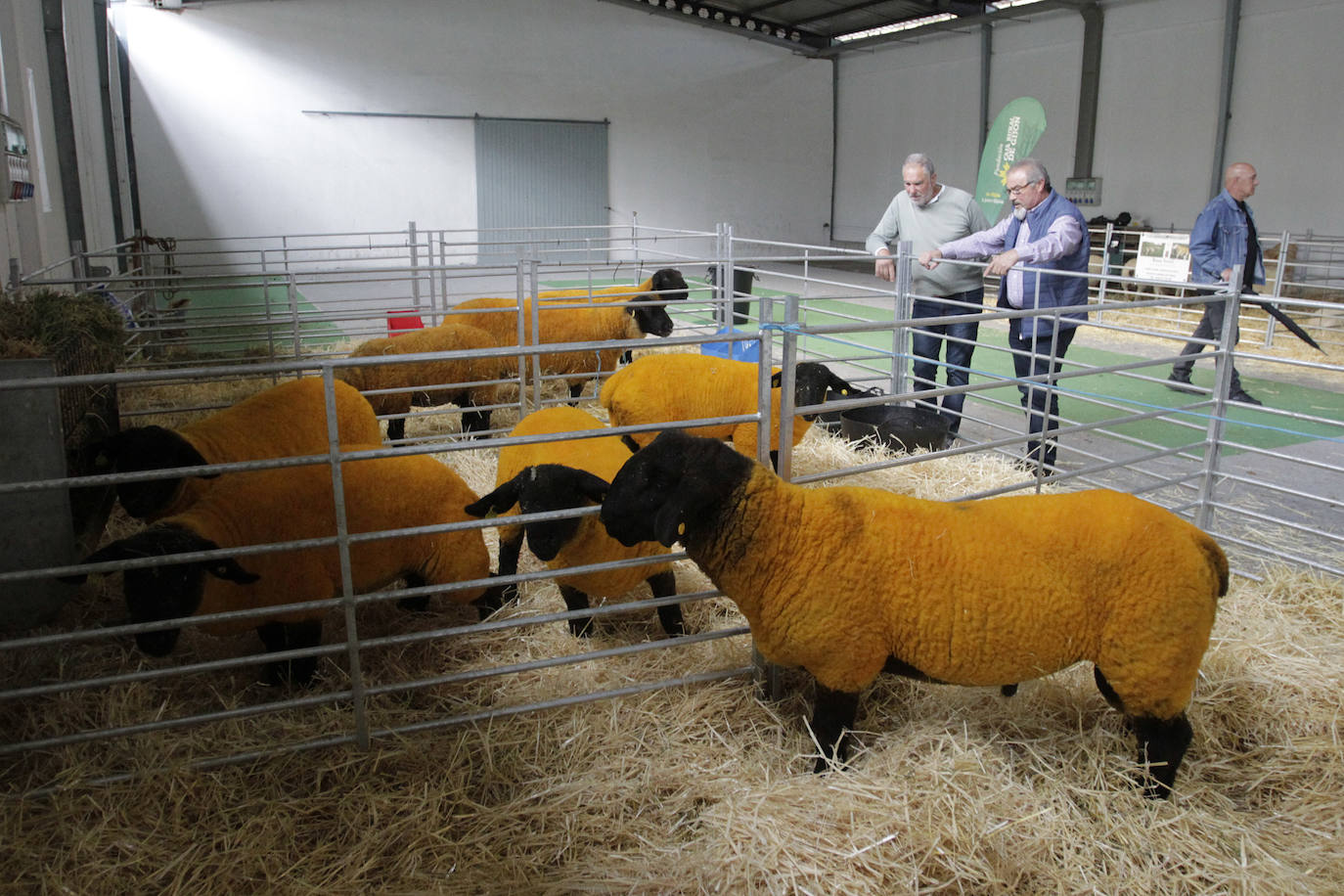 Fotos: El mundo rural asturiano: un paseo por Agropec