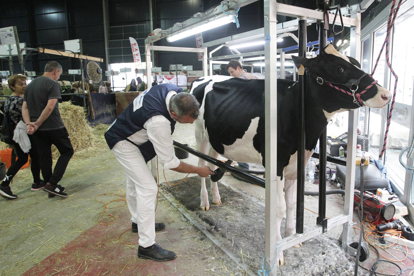 Fotos: El mundo rural asturiano: un paseo por Agropec