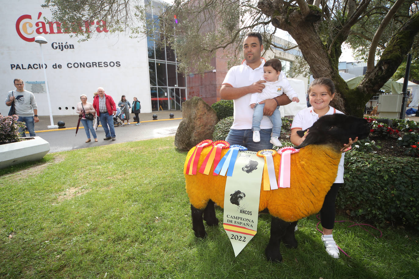 Fotos: La esencia de Agropec, la feria del campo asturiano