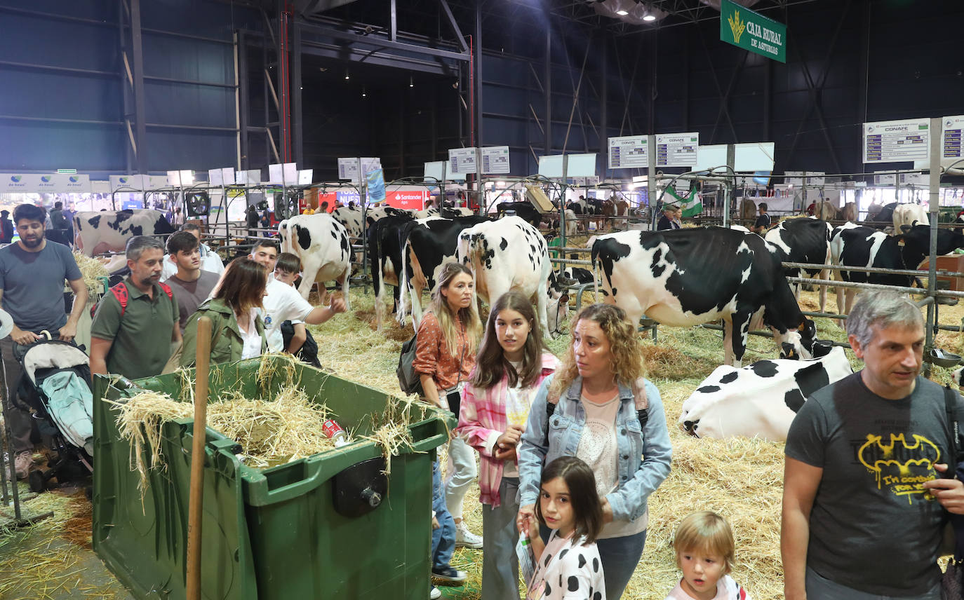 Fotos: La esencia de Agropec, la feria del campo asturiano