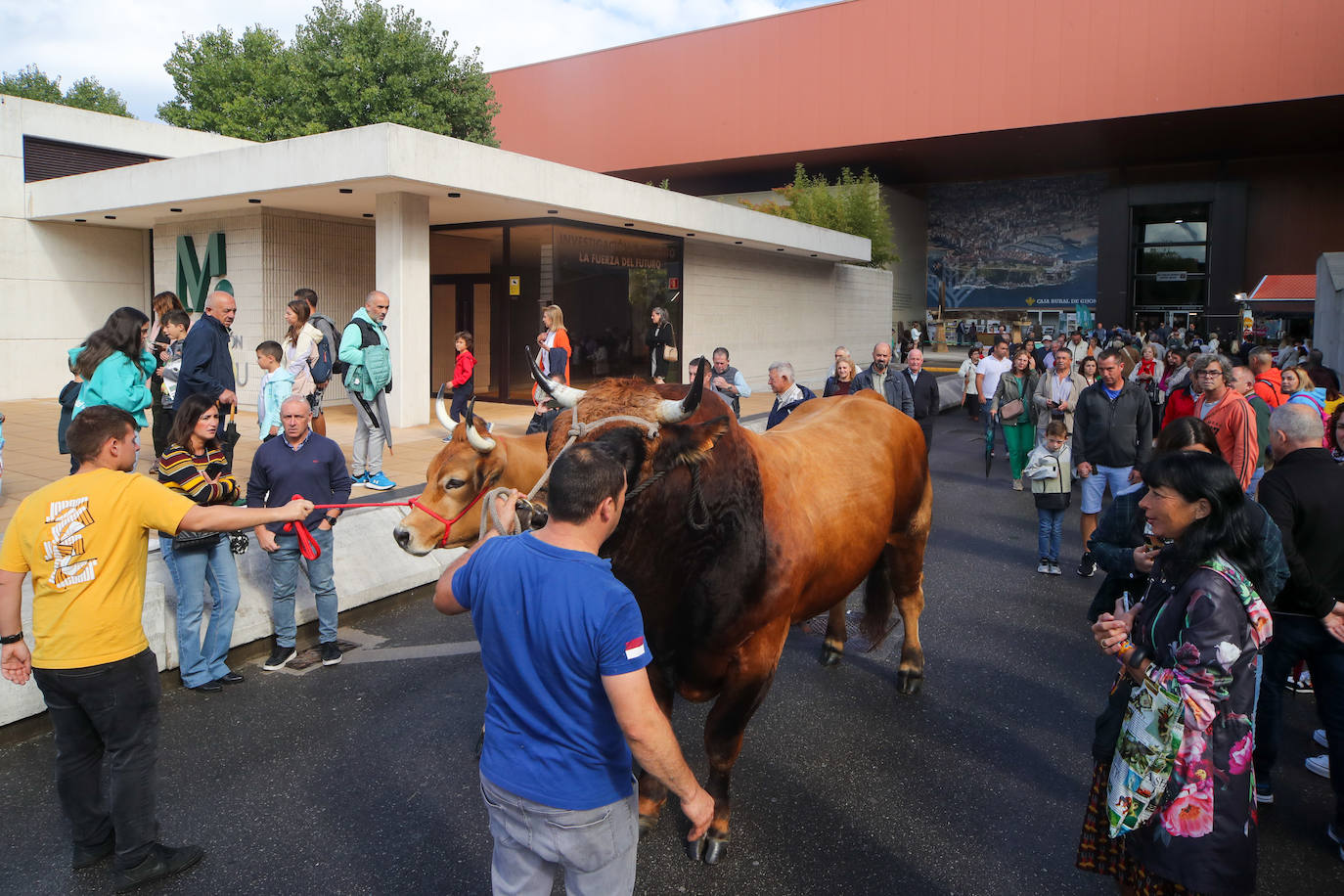 Fotos: La esencia de Agropec, la feria del campo asturiano