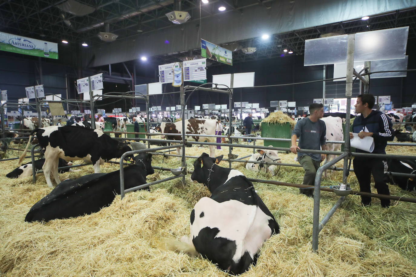 Fotos: La esencia de Agropec, la feria del campo asturiano