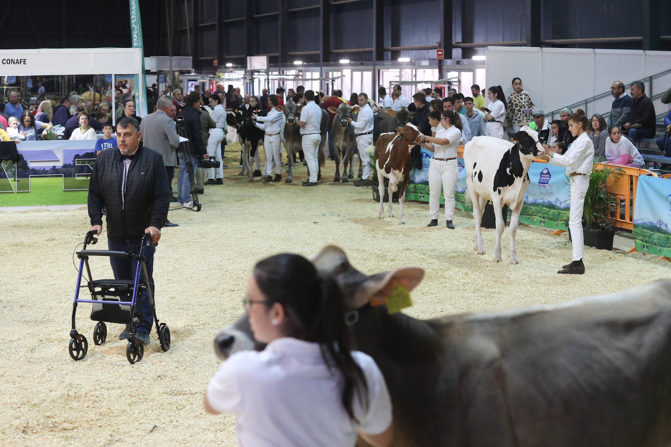 Fotos: La esencia de Agropec, la feria del campo asturiano