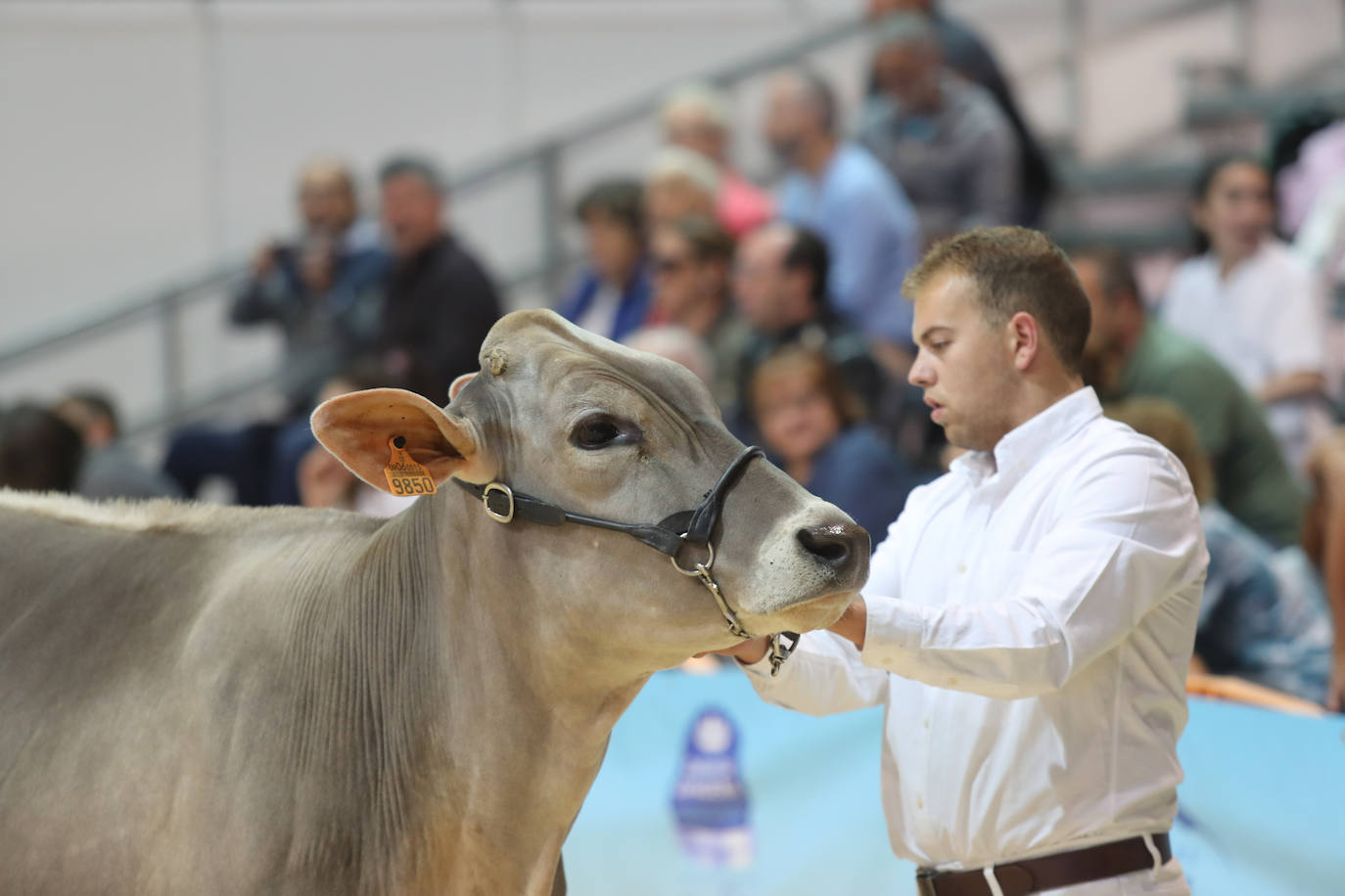 Fotos: La esencia de Agropec, la feria del campo asturiano