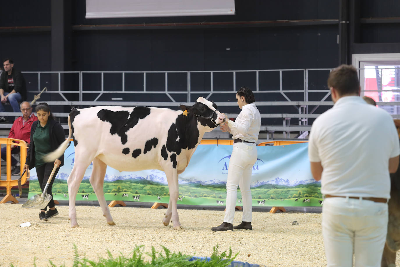 Fotos: La esencia de Agropec, la feria del campo asturiano