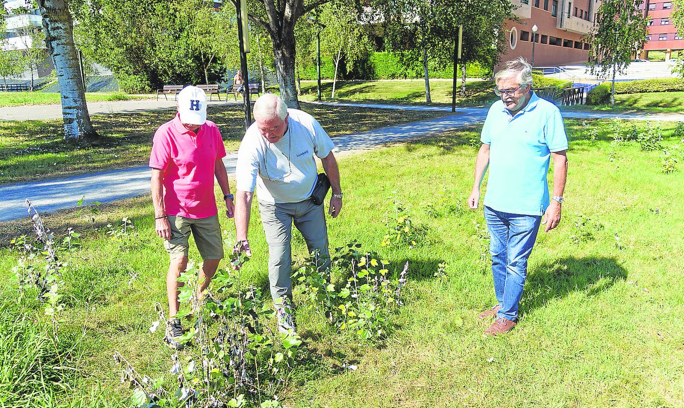 Juan Montes, José Pérez y Luis García en el Parque Fluvial. 