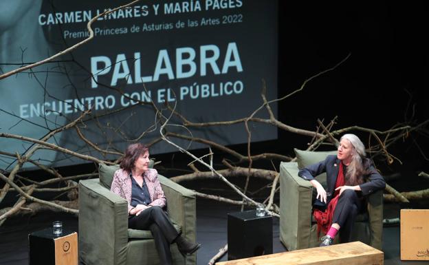 «El arte flamenco está en niveles potenciales de crecimiento enormes»