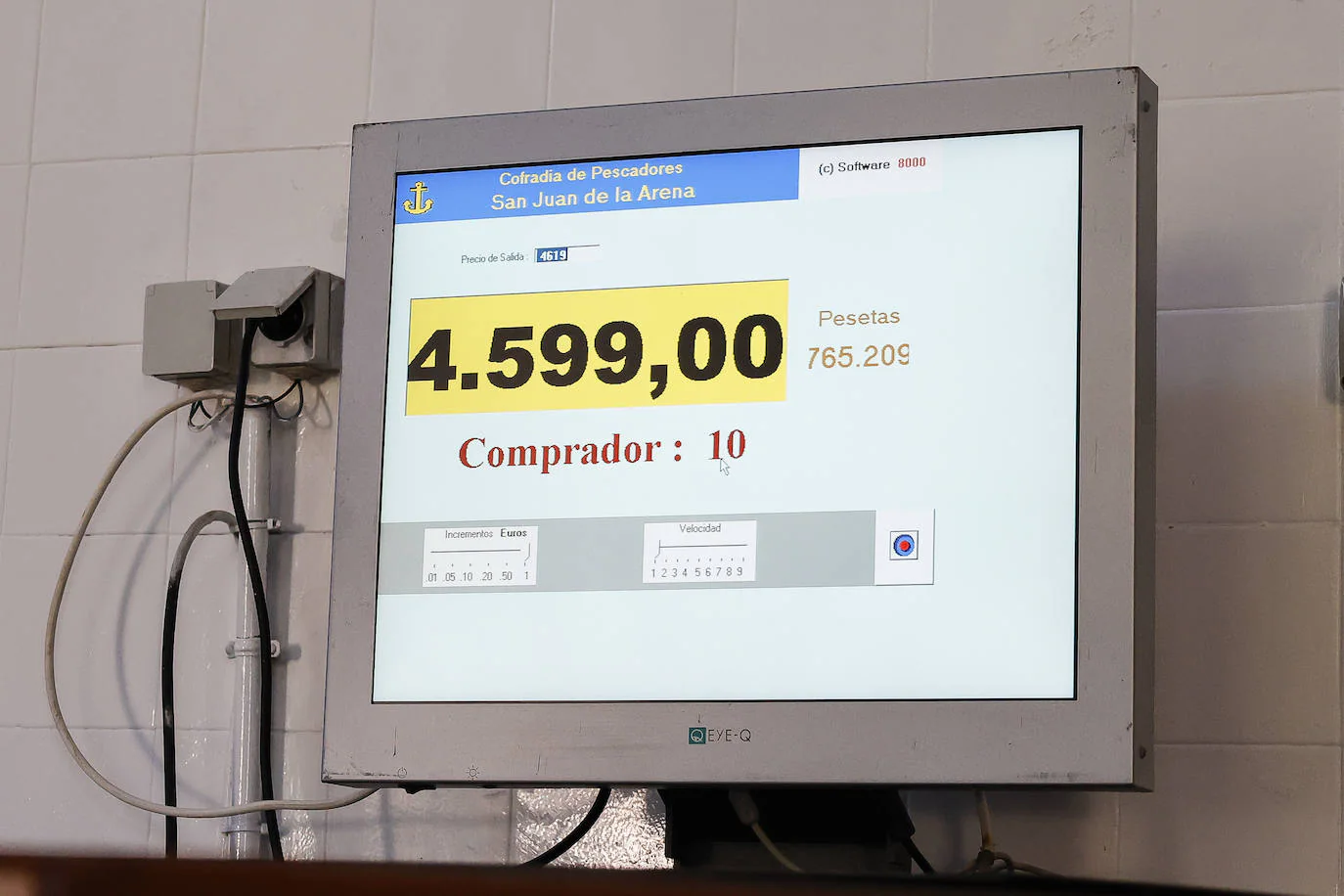 Fotos: La primera angula del Nalón, a 4.599 euros el kilo