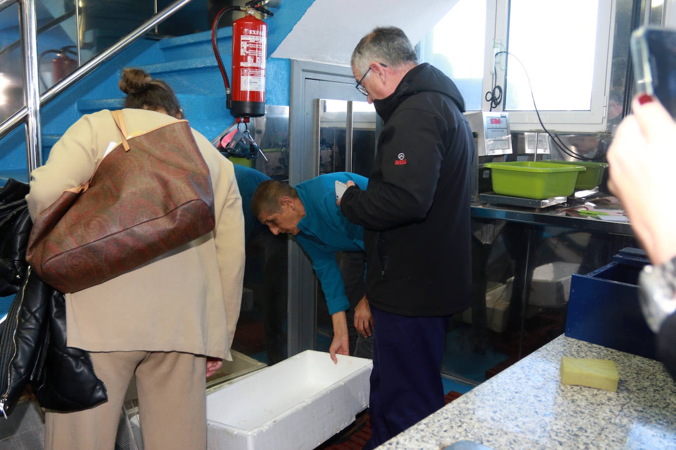 Fotos: Nuevo récord en Ribadesella: la primera angula a 7.280 euros el kilo