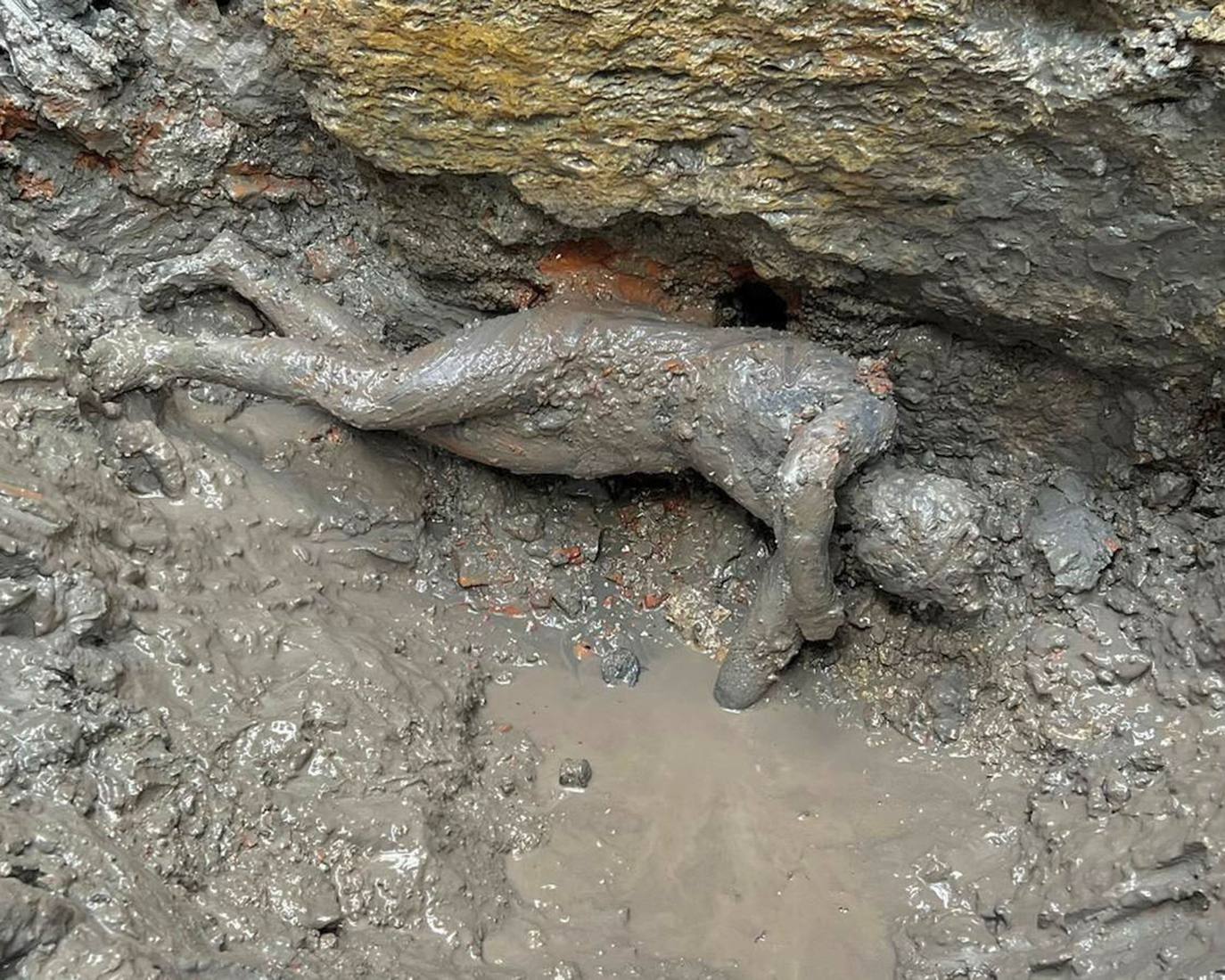 Fotos: Un tesoro en bronce romano emerge en la Toscana