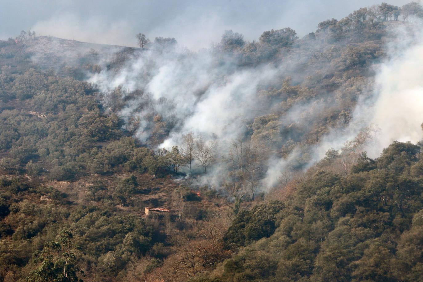 Fotos: Lucha contra el fuego en Lena