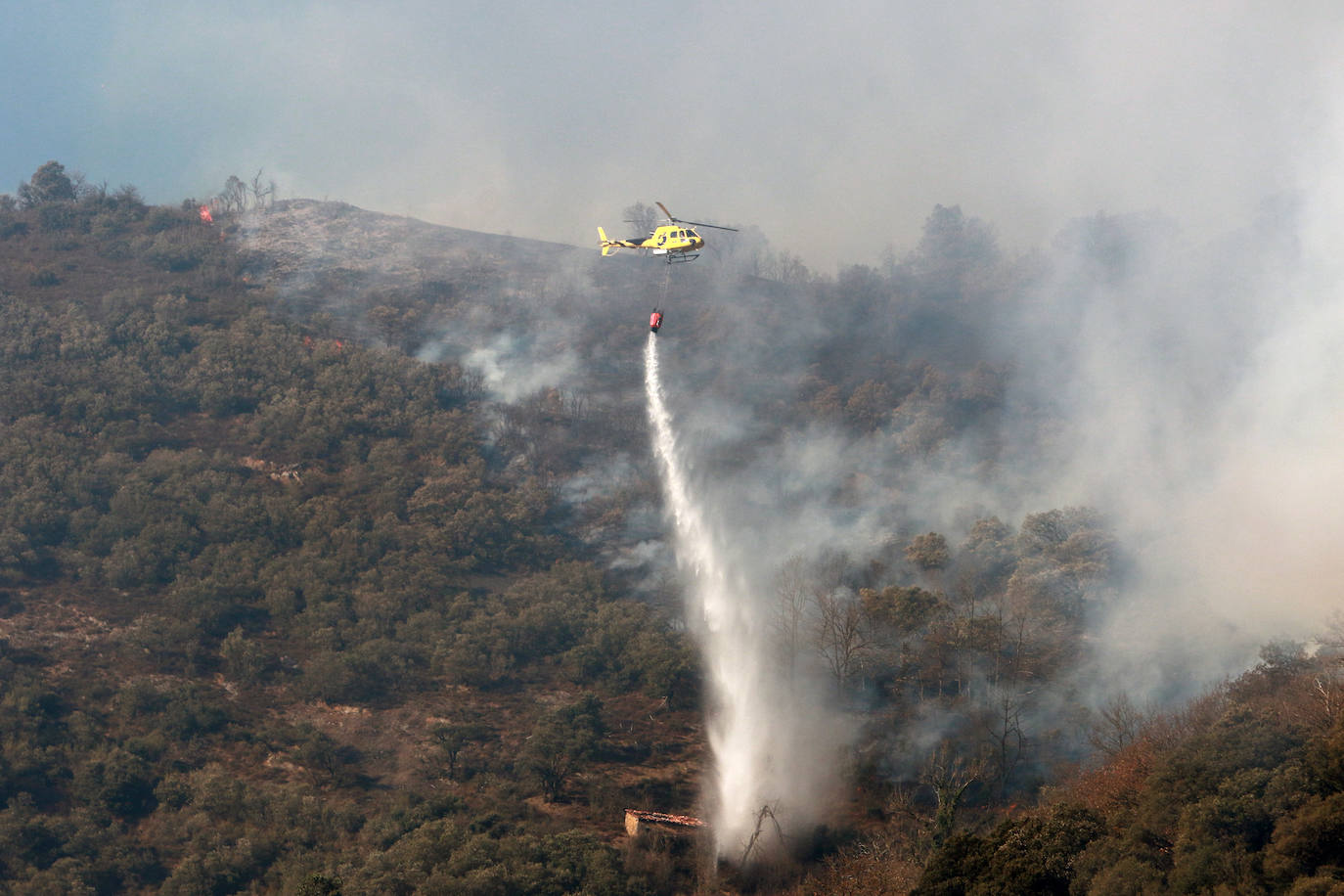 Fotos: Lucha contra el fuego en Lena