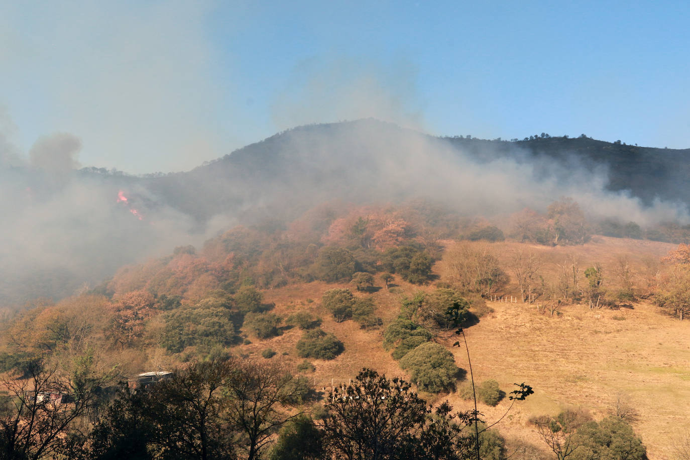 Fotos: Lucha contra el fuego en Lena