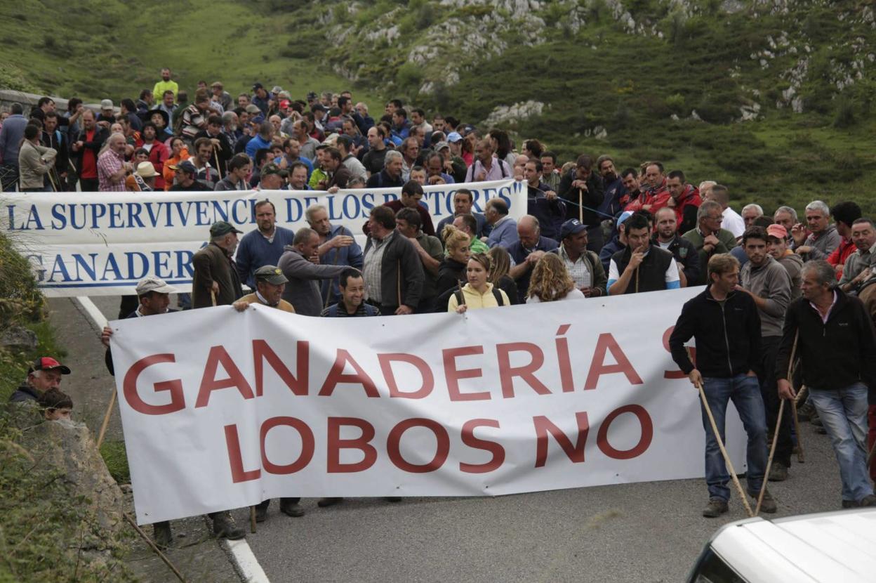 Manifestación de ganaderos en los Picos de Europa. 