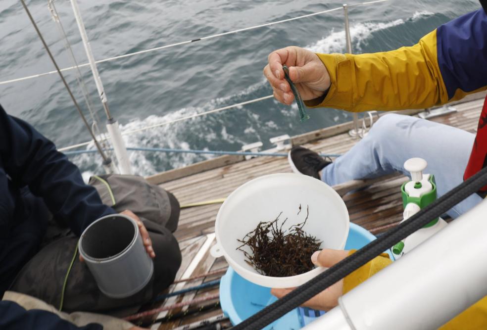 Estacha de un barco recogida en uno de los muestreos realizados. 