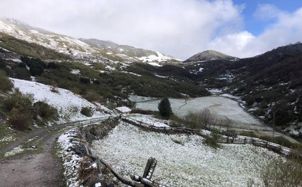 Las primera nevada de la temporada en Aller.