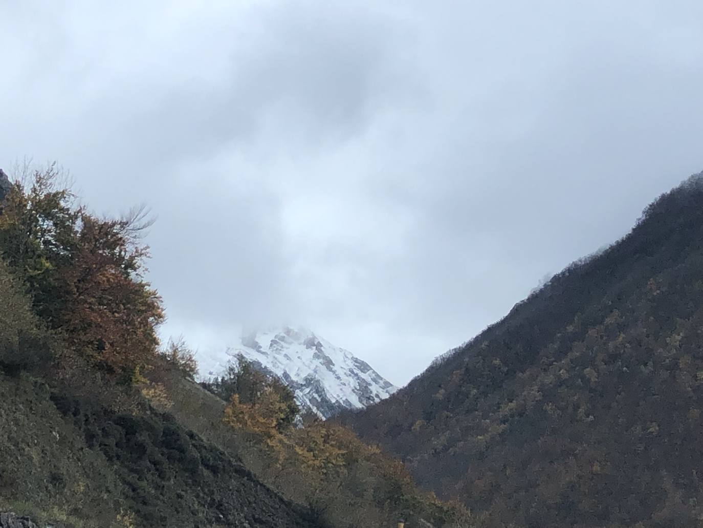 Fotos:Asturias luce las primeras nieves