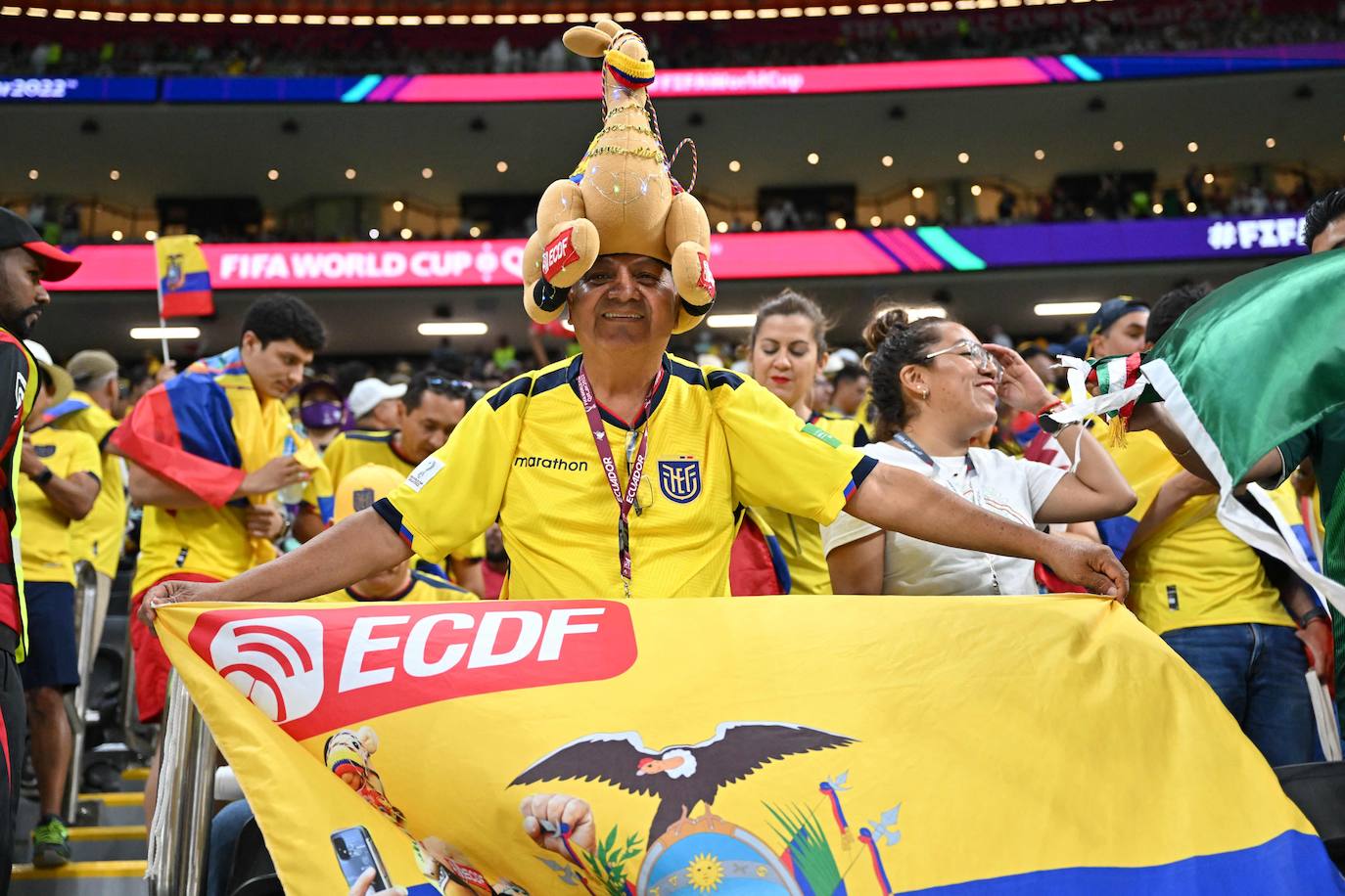 Fotos: Los espectadores más peculiares del Mundial