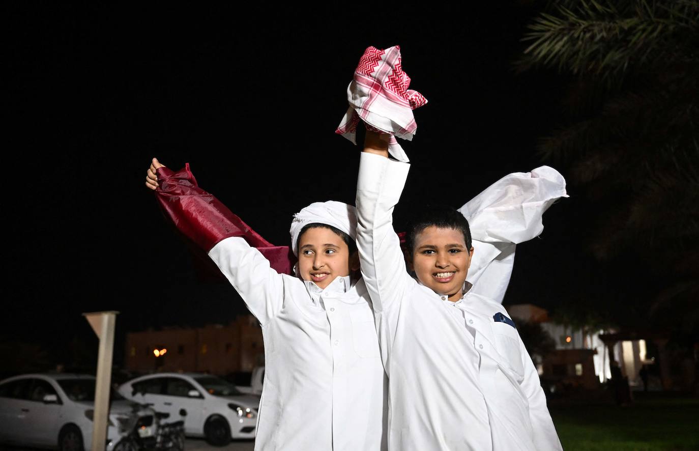 Fotos: Los espectadores más peculiares del Mundial