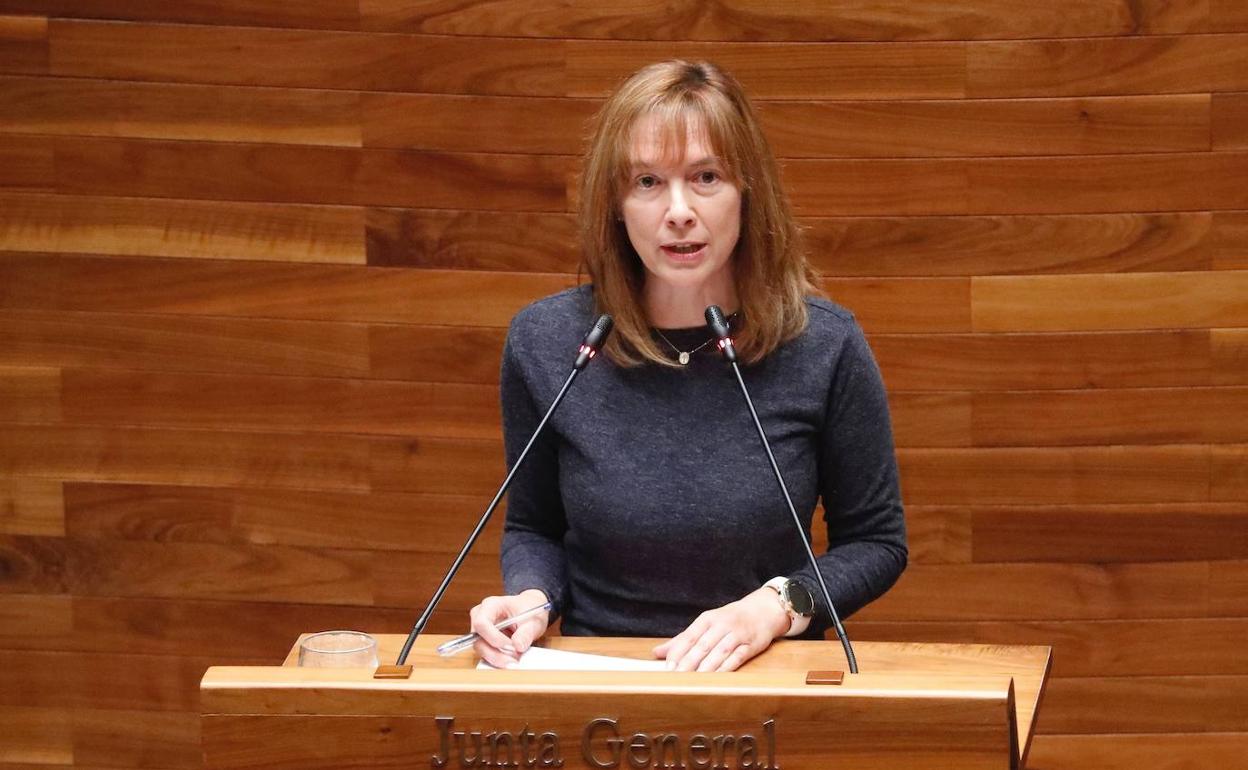 La consejera de Hacienda, Ana Cárcaba, en el pleno de la Junta General de hoy. 