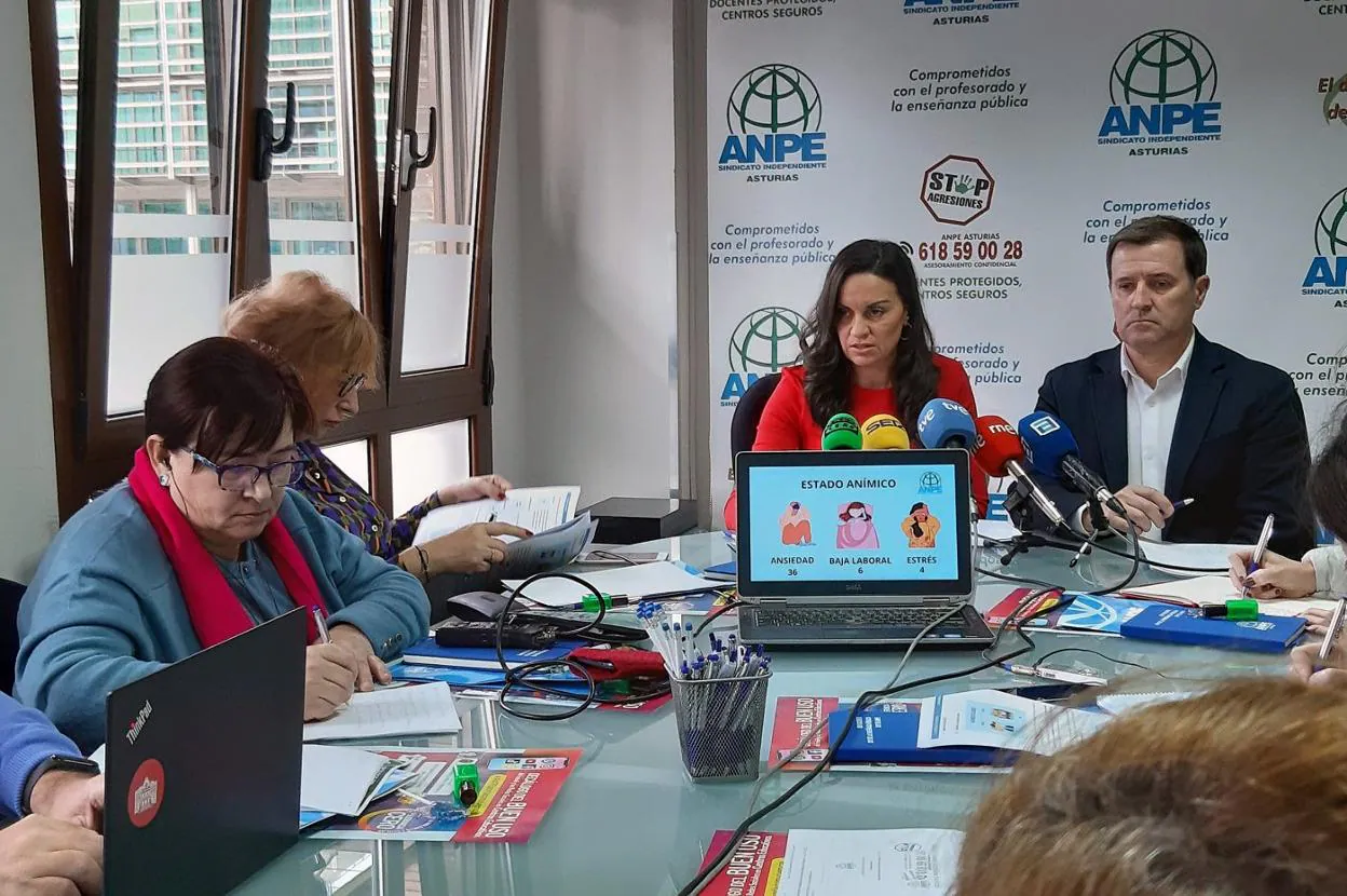 Montserrat Fernández y Gumersindo Rodríguez, durante la rueda de prensa de ANPE. 