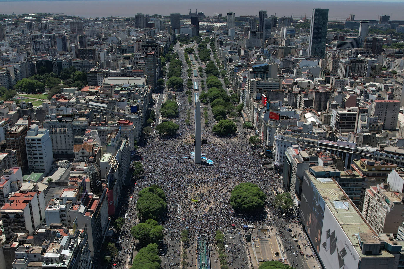 Fotos: Las imágenes más icónicas de la celebración de Argentina