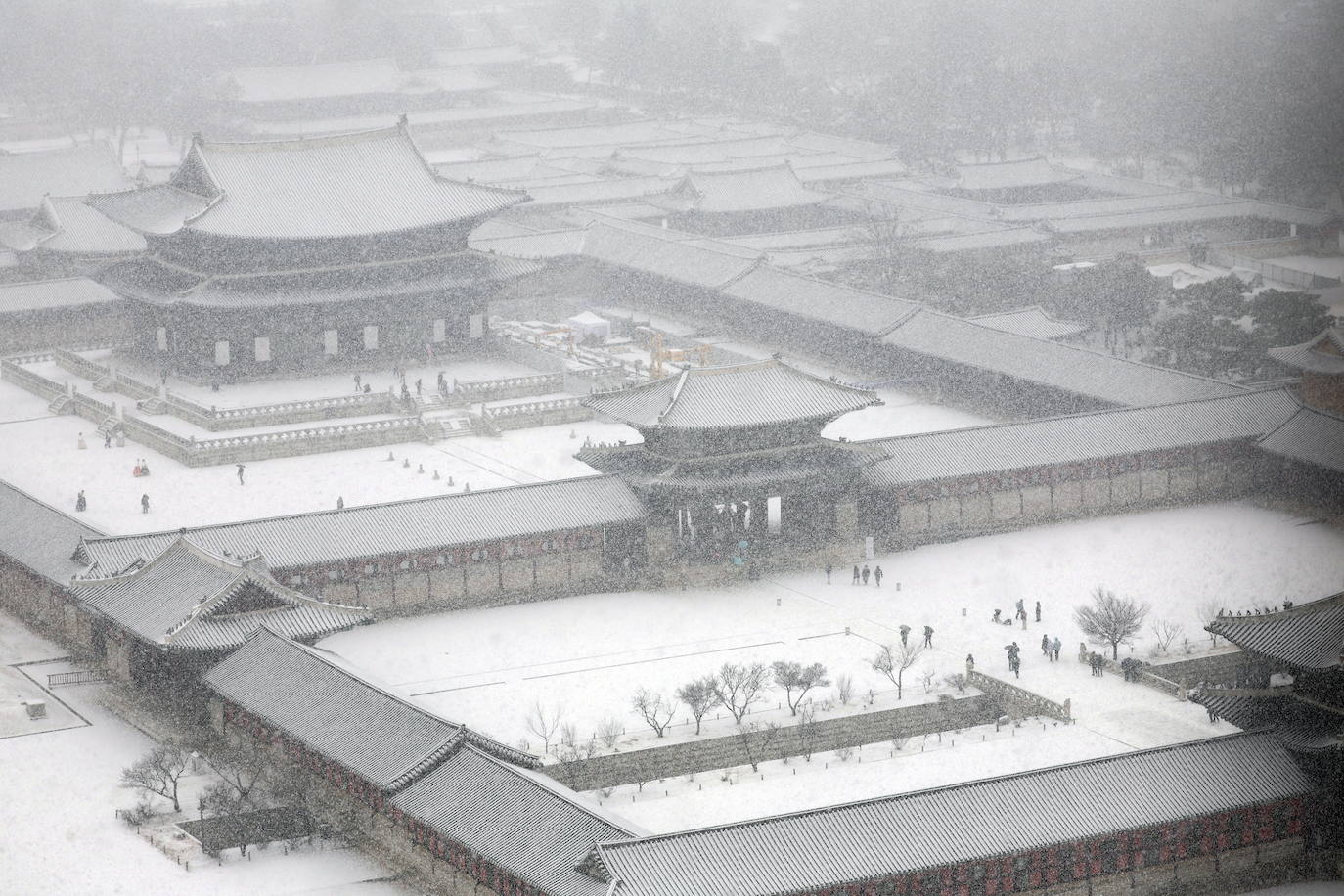 Fotos: El mundo se tiñe de blanco