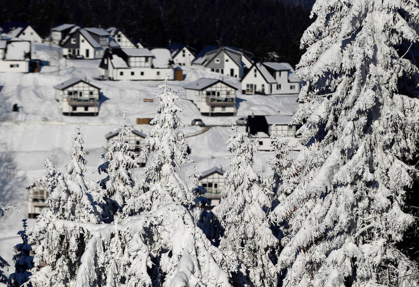 Fotos: El mundo se tiñe de blanco