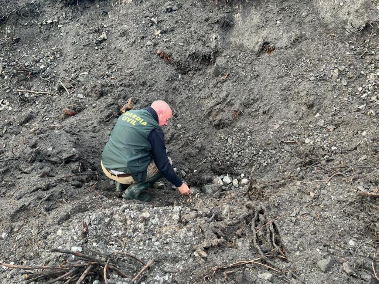 Hasta el lugar donde apareció el artefacto se trasladaron expertos de la Guardia Civil. 