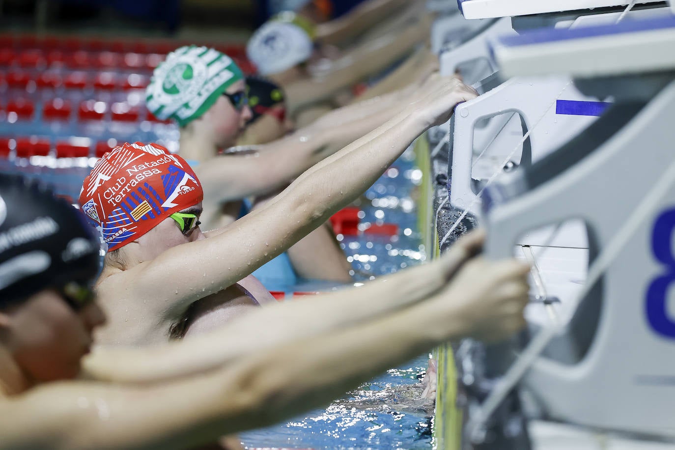 Segunda jornada del campeonato de natación infantil