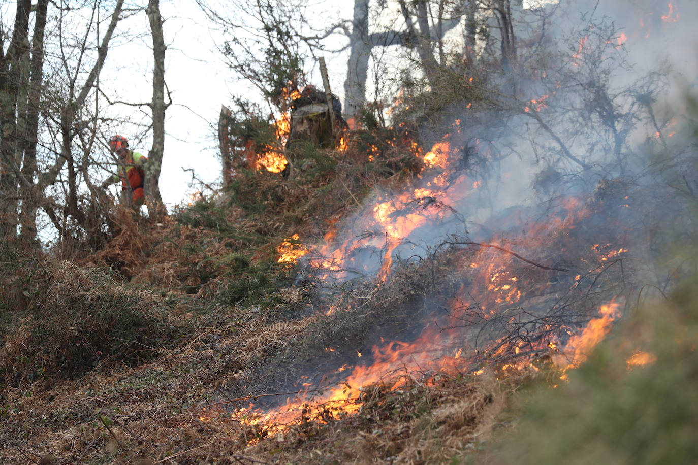 Lucha contra el fuego en Asturias