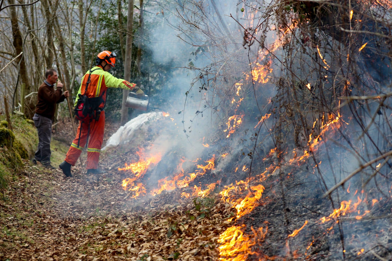 Lucha contra el fuego en Asturias