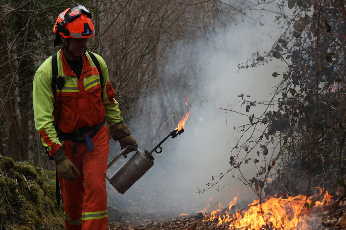 Lucha contra el fuego en Asturias