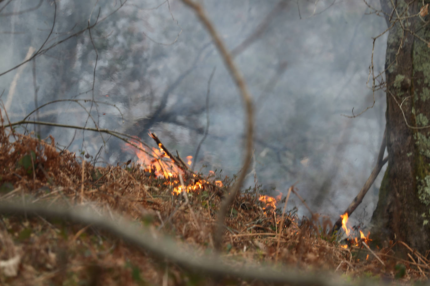 Lucha contra el fuego en Asturias