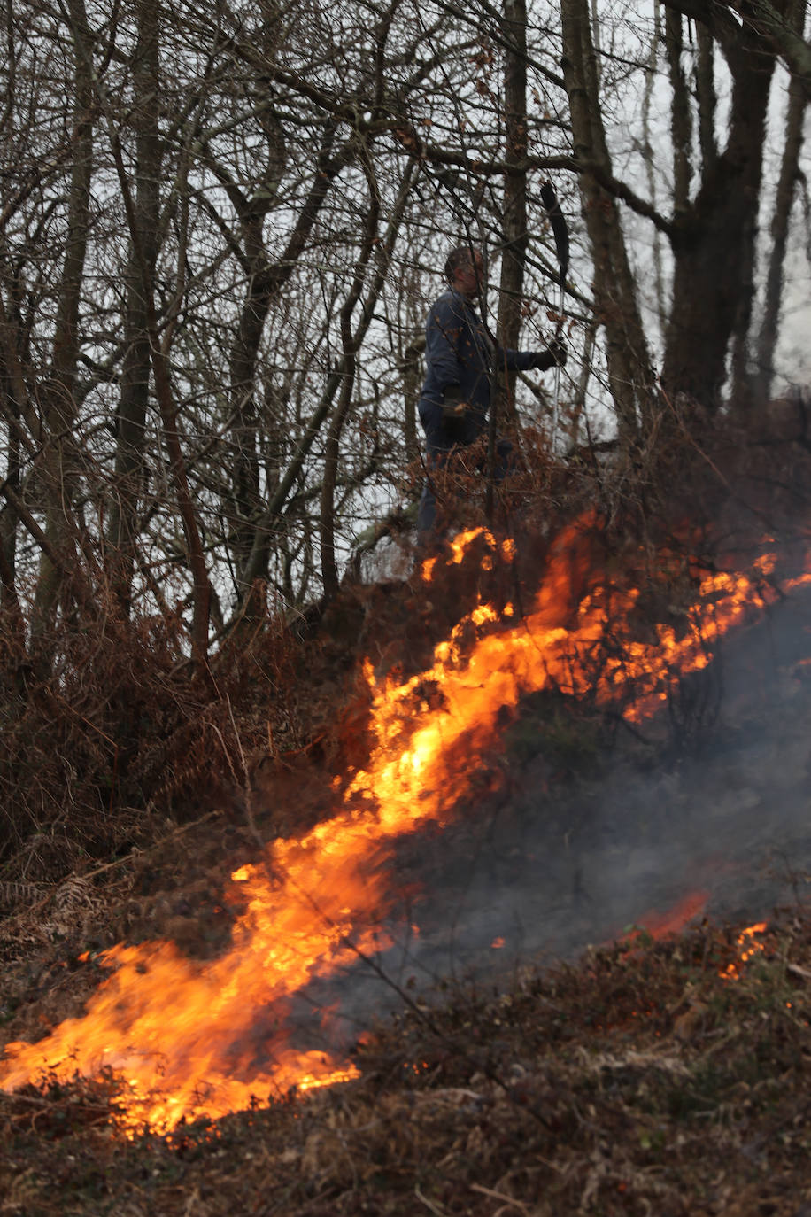 Lucha contra el fuego en Asturias