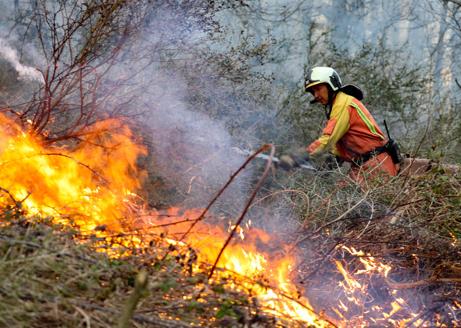 Imagen secundaria 1 - A la izquierda, un bombero lucha contra las llamas en el incendio de Blimea, que llegó a amenazar a zonas habitadas. En la derecha, dos bomberos peinan una zona devastada por las llamas. 