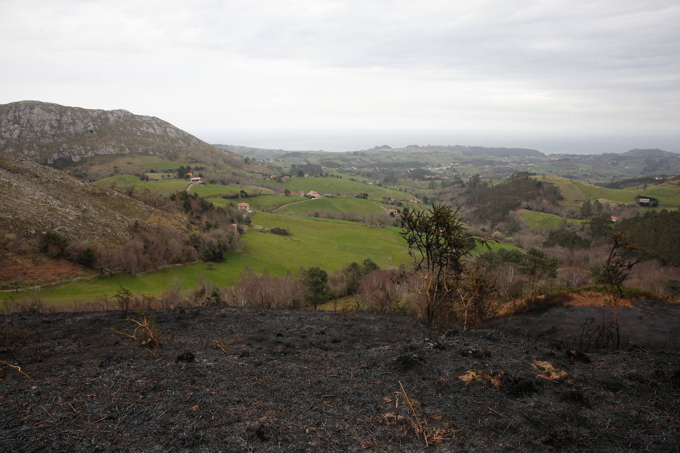 Las llamas amenazan la región