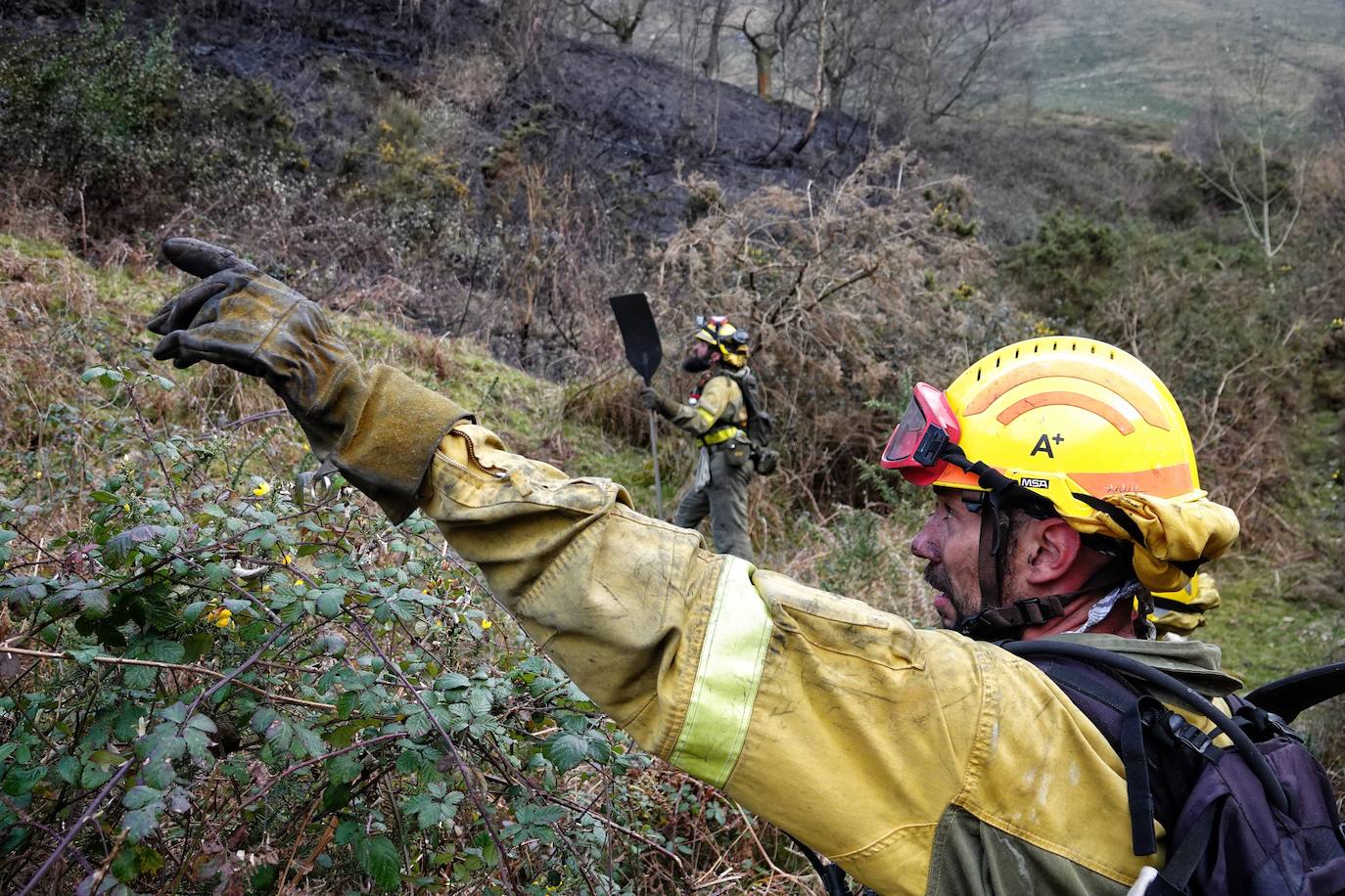 Lucha contra el fuego en Asturias