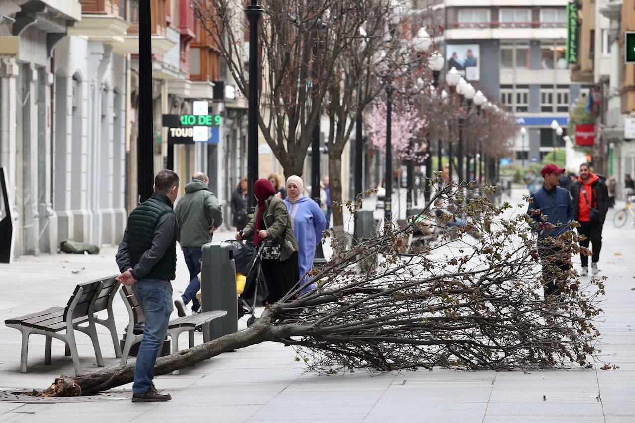 El viento deja un reguero de daños en Gijón