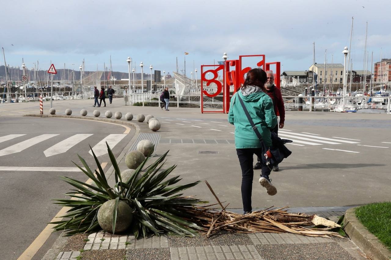 El viento deja un reguero de daños en Gijón